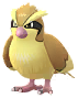 Pidgey