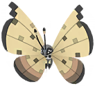 Vivillon (Sandstorm)